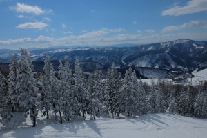 DSCF1479